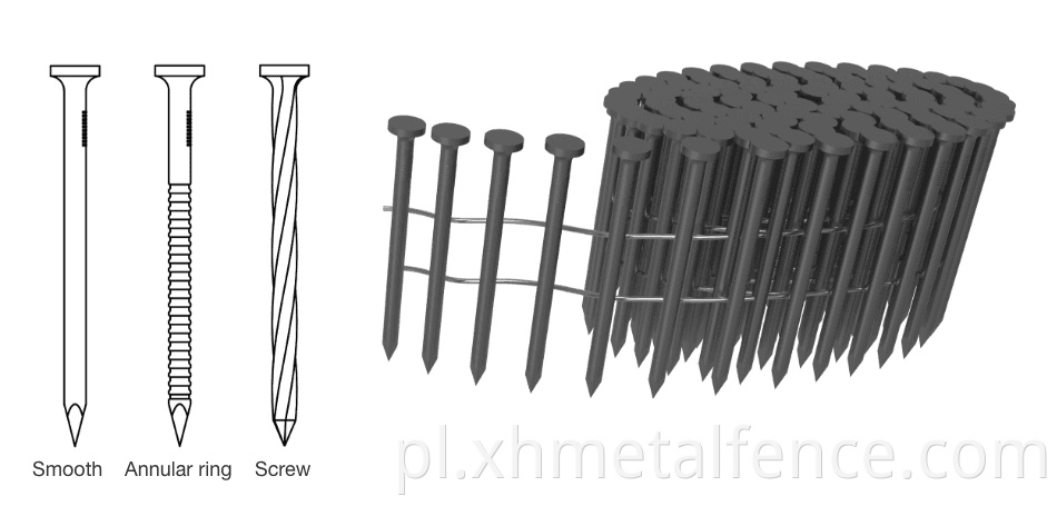 Coil Nails